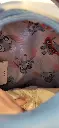 20250213_143034.webp