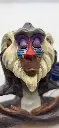 rafiki (1).webp