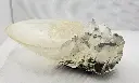 20250710_135439.webp