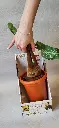 20250120_142550.webp