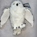 20250120_142402.webp