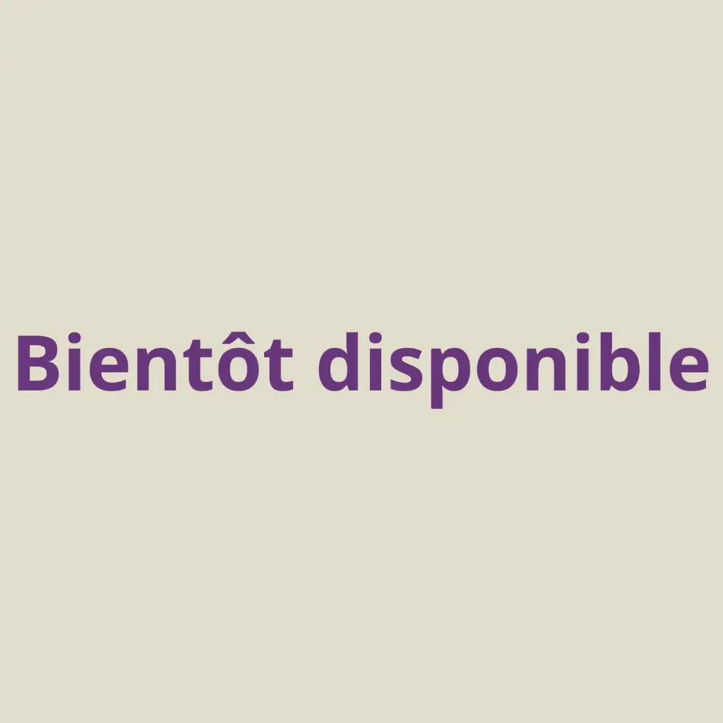 Ouvre-lettres épée de Gryffondor sur support