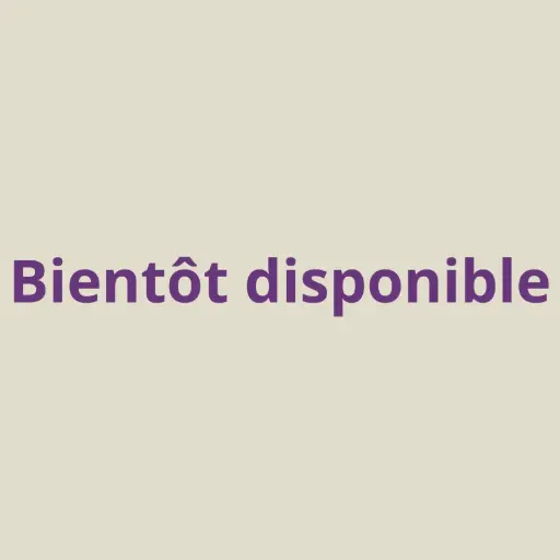 Ouvre-lettres épée de Gryffondor sur support